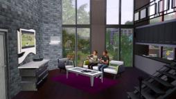 The Sims 3 High End Loft Stuff  gameplay screenshot