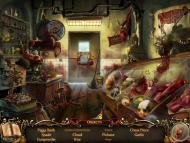 Nightfall Mysteries: Curse Of The Opera  gameplay screenshot