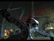 Forgotten Realms: Demon Stone  gameplay screenshot