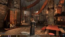 Dragon Age II  gameplay screenshot