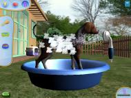 Pet Pals: New Leash on Life  gameplay screenshot