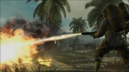 Call of Duty: World at War  gameplay screenshot