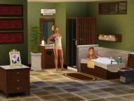 The Sims 3 Master Suite Stuff  gameplay screenshot