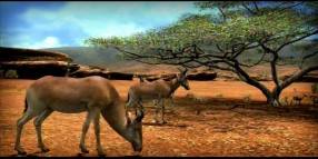 Afrika  gameplay screenshot