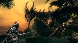 Dark Souls: Prepare to Die Edition  gameplay screenshot
