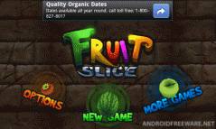 Fruit Slice  gameplay screenshot