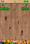 Ant Smasher Free  gameplay screenshot