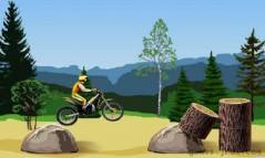 Stunt Dirt Bike  gameplay screenshot