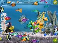 Tap Fish  gameplay screenshot