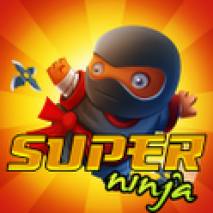 Super Ninja dvd cover