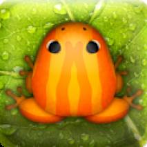 Pocket Frogs Cover 