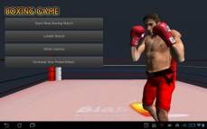 Boxing Game  gameplay screenshot