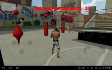 Boxing Game  gameplay screenshot