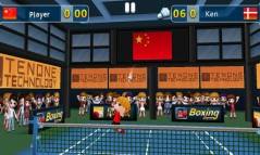Badminton 3D  gameplay screenshot