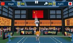 Badminton 3D  gameplay screenshot