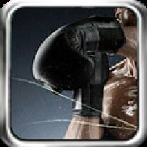 Boxing Mania Cover 