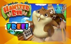 Hamster Run  gameplay screenshot