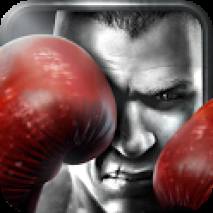 Real Boxing™ Cover 