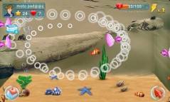 Fish Live  gameplay screenshot