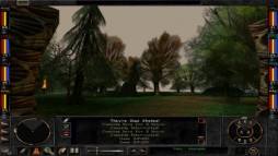 Wizardry 8  gameplay screenshot