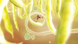 Botanicula  gameplay screenshot