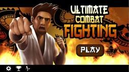 Ultimate Combat Fighting  gameplay screenshot