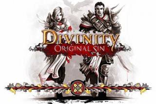 Divinity: Original sin dvd cover