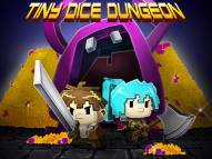 Tiny Dice Dungeon  gameplay screenshot