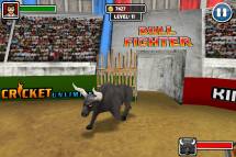 Bull Fighter  gameplay screenshot