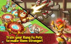 Kung Fu Pets  gameplay screenshot