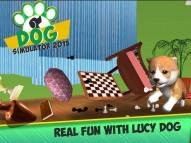 Dog Simulator 2015  gameplay screenshot