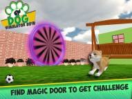 Dog Simulator 2015  gameplay screenshot