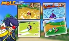 Mole Kart  gameplay screenshot