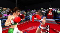 Woman Fists For Fighting WFx3  gameplay screenshot