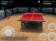 Pro Arena Table Tennis  gameplay screenshot