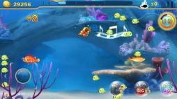 Fish Predator  gameplay screenshot