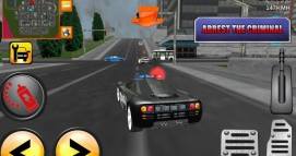 Crazy Driver Police Duty 3D  gameplay screenshot