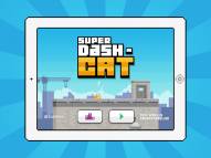 Super Dash-Cat  gameplay screenshot