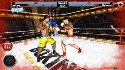 Boxing - Road To Champion  gameplay screenshot