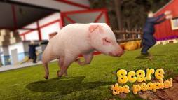 Pig Simulator 2015  gameplay screenshot