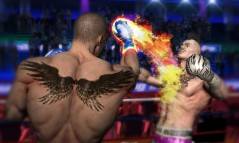 Punch Boxing 3D  gameplay screenshot