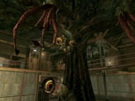 Call of Cthulhu: Dark Corners of The Earth  gameplay screenshot