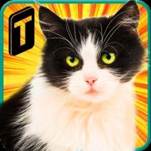Street Cat Sim 2016 dvd cover 
