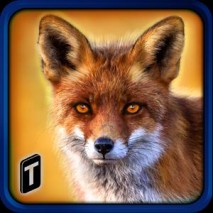 Wild Fox Adventures 2016 dvd cover