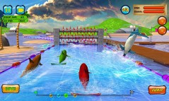 Dolphin Racing 3D  gameplay screenshot