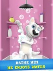 My Talking Dog 2: Virtual Pet  gameplay screenshot