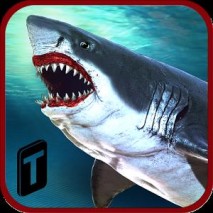 Angry Shark Adventures 3D Cover 