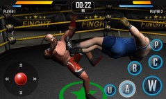 Real Wrestling 3D  gameplay screenshot