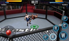 Real Wrestling 3D  gameplay screenshot