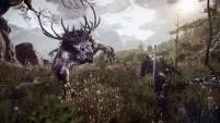 XboxOne and PS4resolution Discussed by The Witcher3Dev
